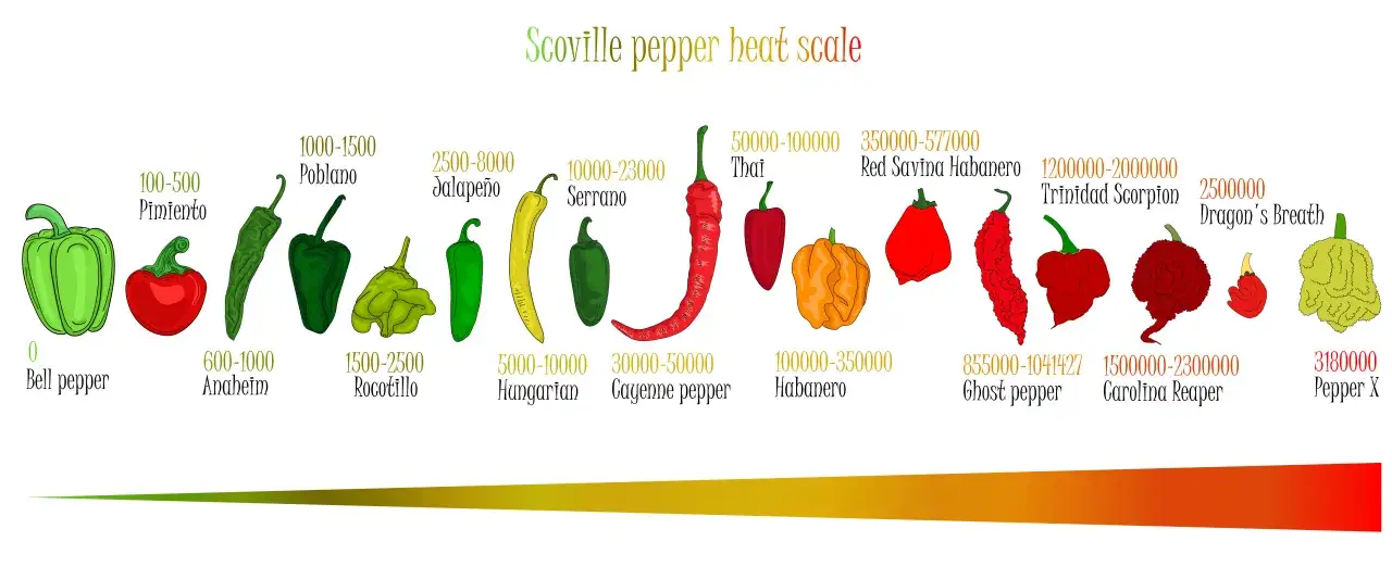 Scala Scoville: dal dolce Bell pepper al piccantissimo Pepper X, passando per vari peperoncini come Habanero e Jalape&ntilde;o.