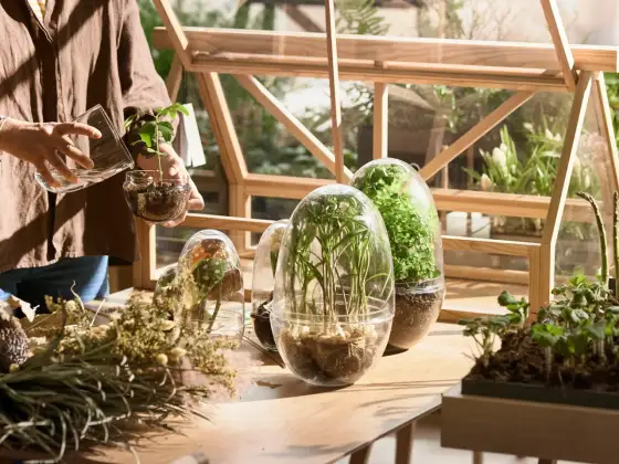 Mini serra o grow box? Scegli la soluzione giusta per te!