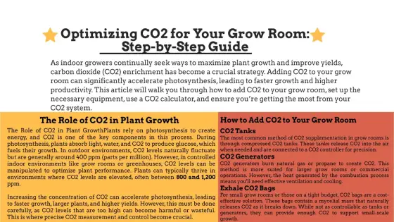 Sonda CO2 grow box - Guida completa per massimizzare la resa