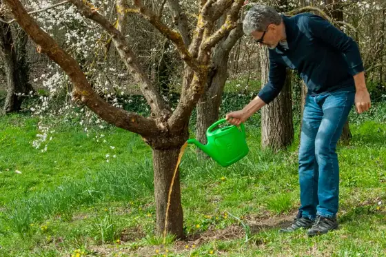 Concime a 3 parti - La guida definitiva per coltivare al meglio