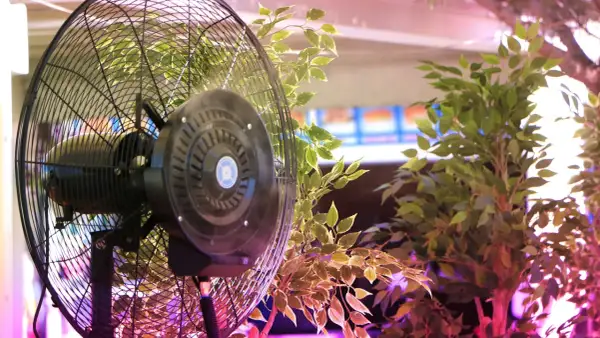 Ventilatore nero tra piante verdi, creando un'atmosfera di prima klima.
