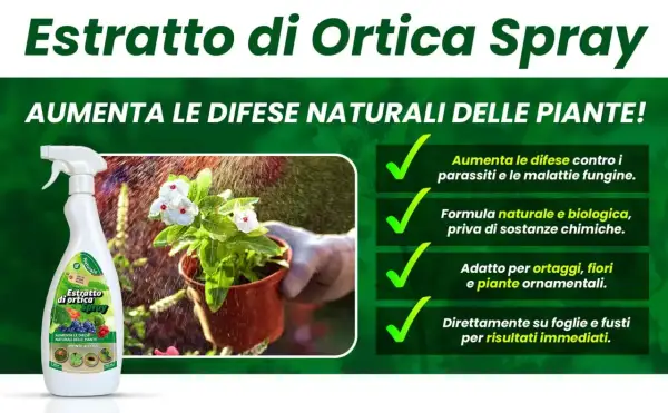 Spray di ortica, un insetticida naturale che potenzia le difese delle piante contro parassiti e malattie. Formula biologica per ortaggi e fiori.