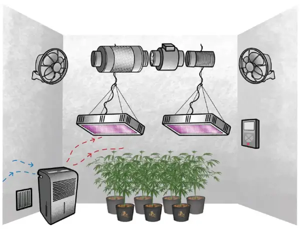 Sistema di coltivazione indoor con luci LED, ventilatori, estrattore e deumidificatore per controllare l'ambiente, specialmente quando l'umidità è alta.